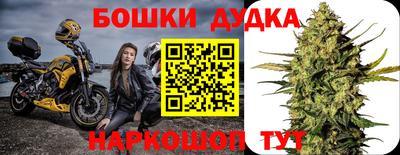 ALPHA-PVP Партизанск