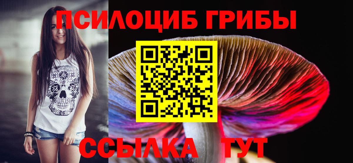 Псилоцибиновые грибы мицелий Славгород