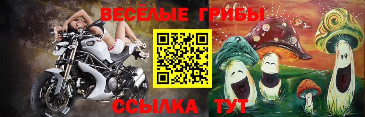 Галлюциногенные грибы мухоморы  Вход с VPN  Славгород  Галлюциногенные грибы мицелий 
